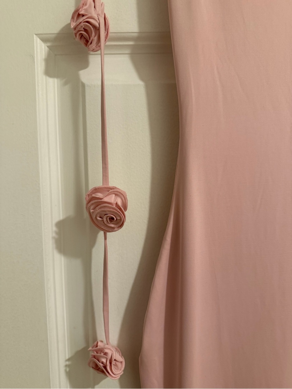 OH POLLY ALDONA FLORAL-APPLIQUÉ GOWN – BLUSH - Picture 6 of 7